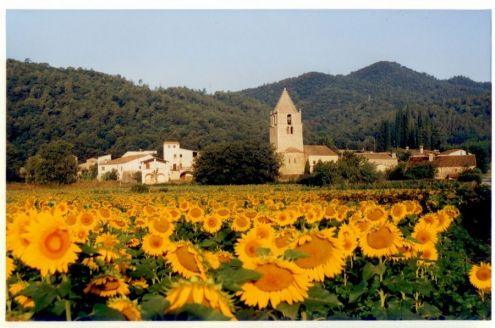 Obertura inscripcions Casal d'estiu de Sant Gregori